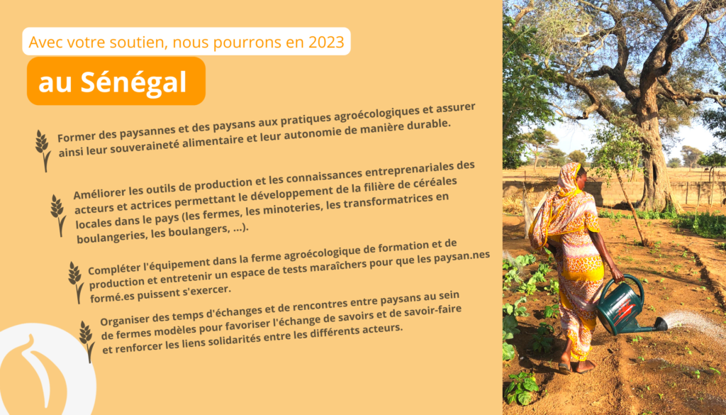 Réseau Semences Paysannes - Fiche pratique : Commercialisation des semences  et plants - la réglementation sanitaire. Version longue